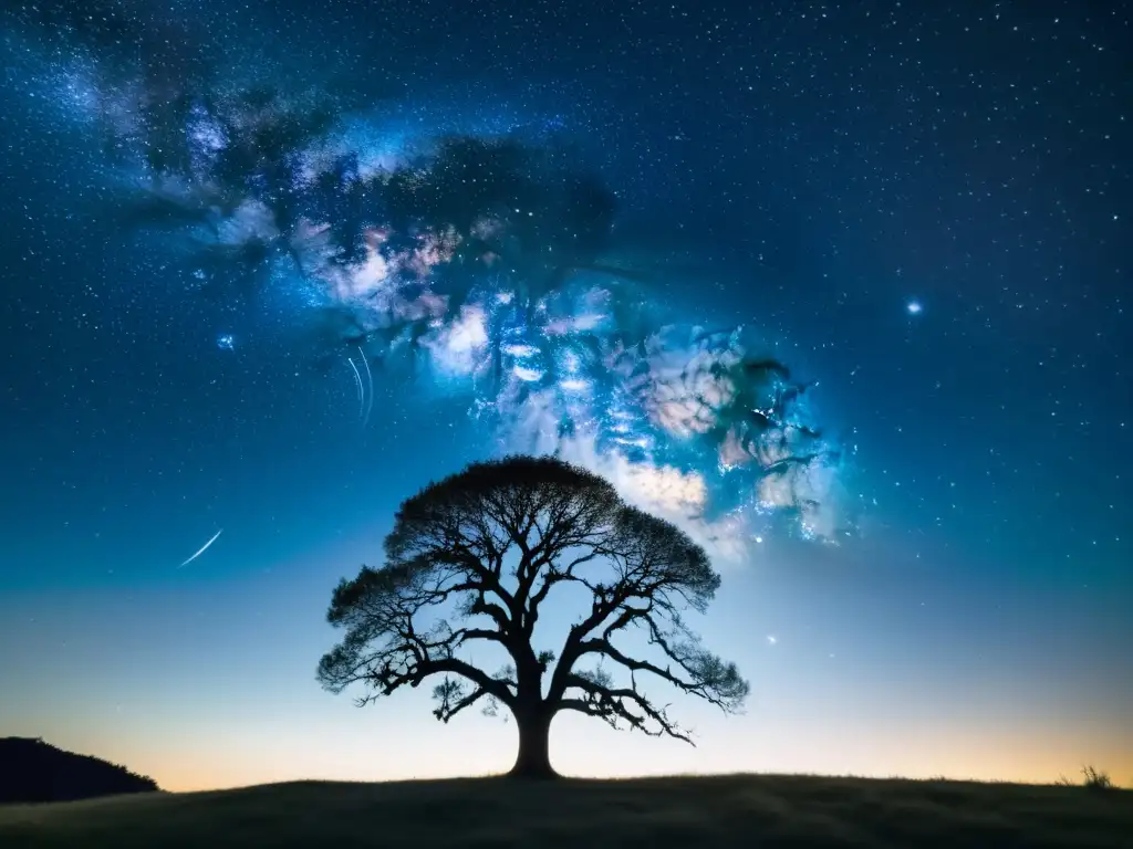 Una fotografía vintage de un cielo estrellado con la silueta de un árbol solitario